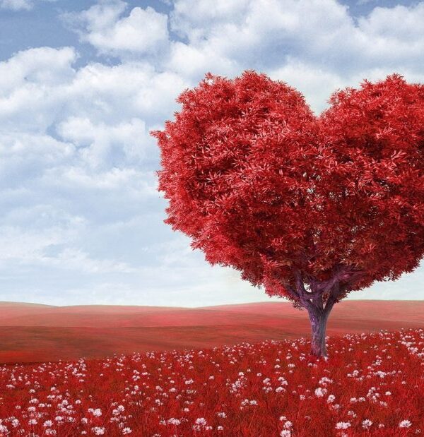 Saint Valentin 600x619